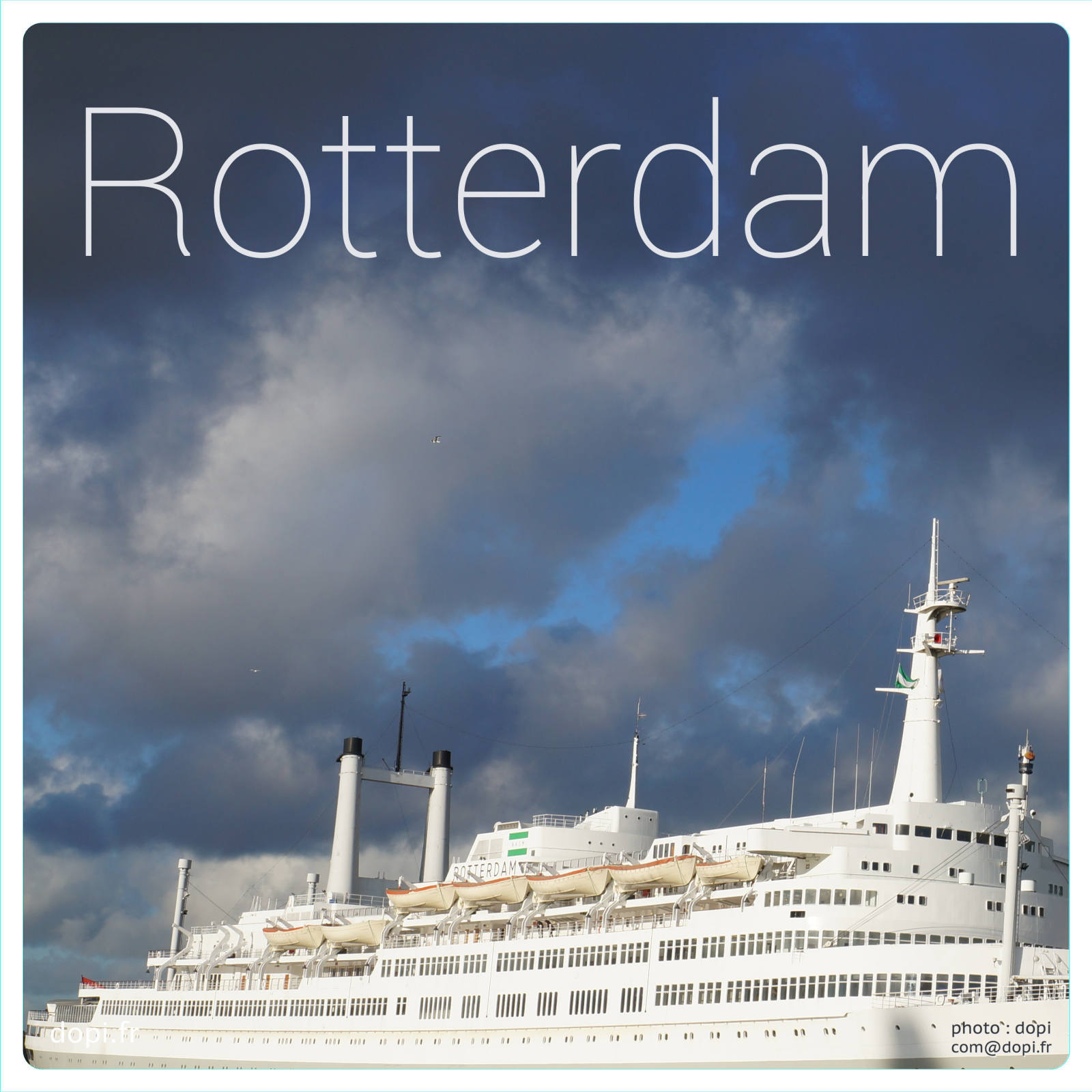 00007 100rot,medium large.2x.1483111537